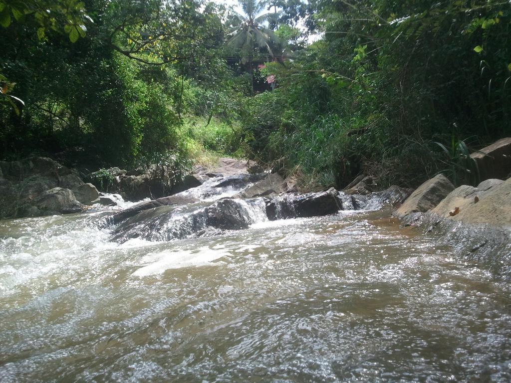 Jungle Village Homestay Pinnawala  Exterior foto